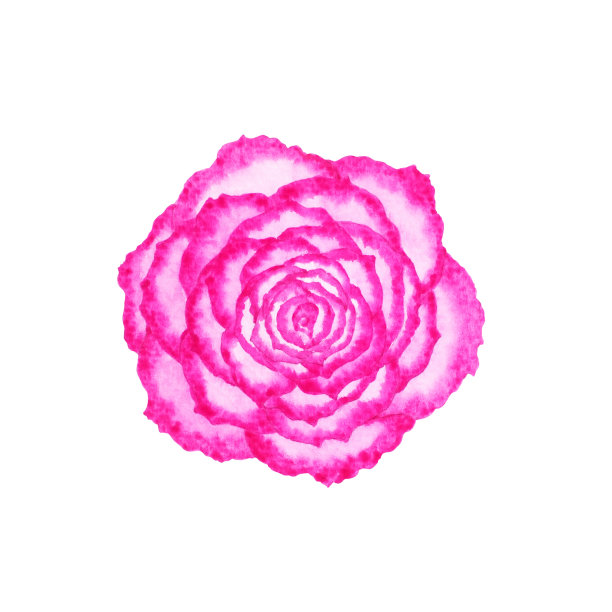 粉红色玫瑰花花叶绿色自然自然园林植物叶水彩画树插图设计背景装饰艺术图案图片 粉红色玫瑰花花叶绿色自然自然园林植物叶水彩画树插图设计背景装饰艺术图案图片下载