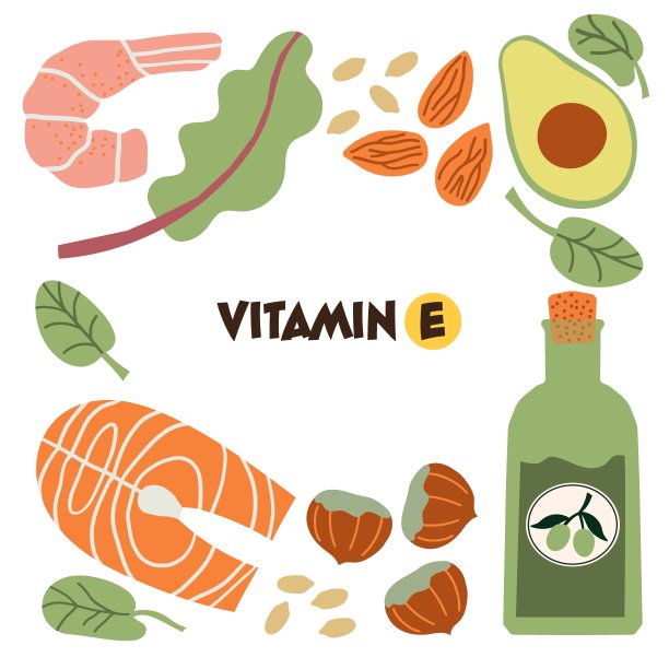 维生素E的来源高维生素E食物。矢量手绘插图在平面卡通风格。图片 维生素E的来源高维生素E食物。矢量手绘插图在平面卡通风格。图片下载