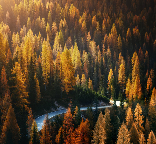 蜿蜒的道路景色很好。位置拉瓦雷多国家公园,白云石阿尔卑斯山。图片 蜿蜒的道路景色很好。位置拉瓦雷多国家公园,白云石阿尔卑斯山。图片下载