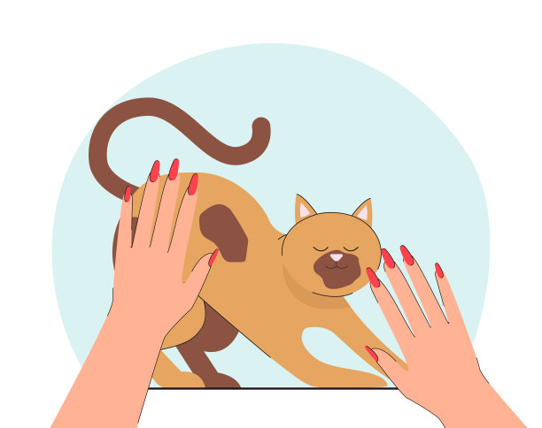 女猫的手抚摸着可爱的快乐图片 女猫的手抚摸着可爱的快乐图片下载