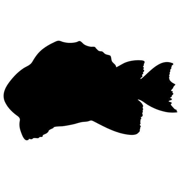 鱼黑色剪影插图孤立在白色背景。图片 鱼黑色剪影插图孤立在白色背景。图片下载