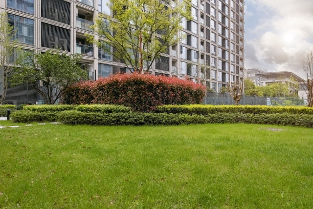 小区草坪图片 小区草坪图片下载