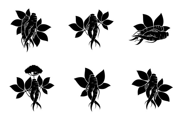 人参根集图片 人参根集图片下载