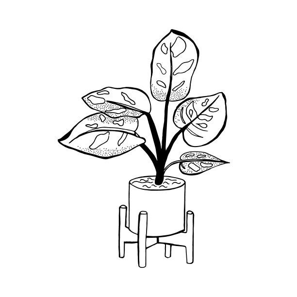 花盆里的Monstera室内植物。矢量涂鸦插图。线条手绘艺术。用于说明,轮廓,标志,移动,应用程序,卡片,邀请,横幅,海报,印刷设计,网页,ui。图片 花盆里的Monstera室内植物。矢量涂鸦插图。线条手绘艺术。用于说明,轮廓,标志,移动,应用程序,卡片,邀请,横幅,海报,印刷设计,网页,ui。图片下载