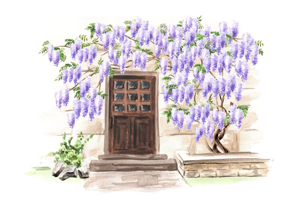 古老的建筑和紫藤花树。手绘水彩插图,孤立在白色背景图片 古老的建筑和紫藤花树。手绘水彩插图,孤立在白色背景图片下载