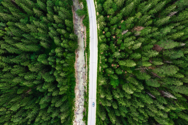一辆汽车沿公路行驶时的森林鸟瞰图图片 一辆汽车沿公路行驶时的森林鸟瞰图图片下载