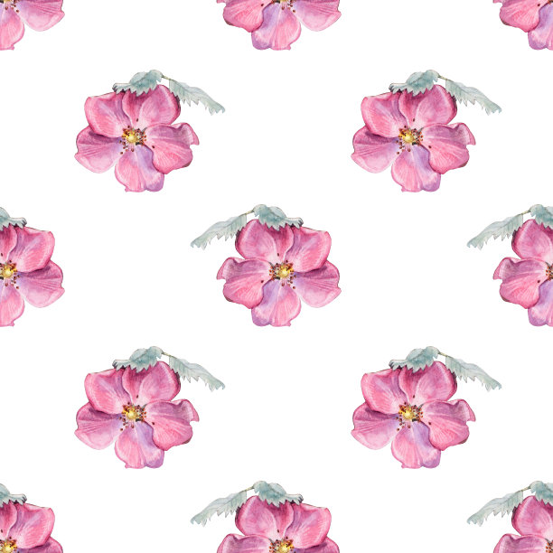 无缝图案水彩花狗玫瑰在白色背景。手绘的夏天树枝绿色的叶子和野生粉红色玫瑰髋关节。植物艺术贴纸茶壁纸包裹纺织品厨房图片 无缝图案水彩花狗玫瑰在白色背景。手绘的夏天树枝绿色的叶子和野生粉红色玫瑰髋关节。植物艺术贴纸茶壁纸包裹纺织品厨房图片下载