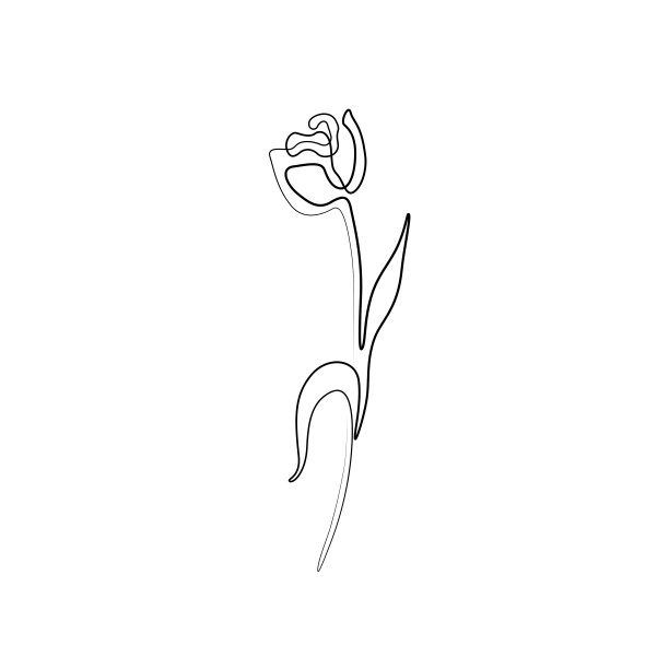 郁金香花连续画线图片 郁金香花连续画线图片下载