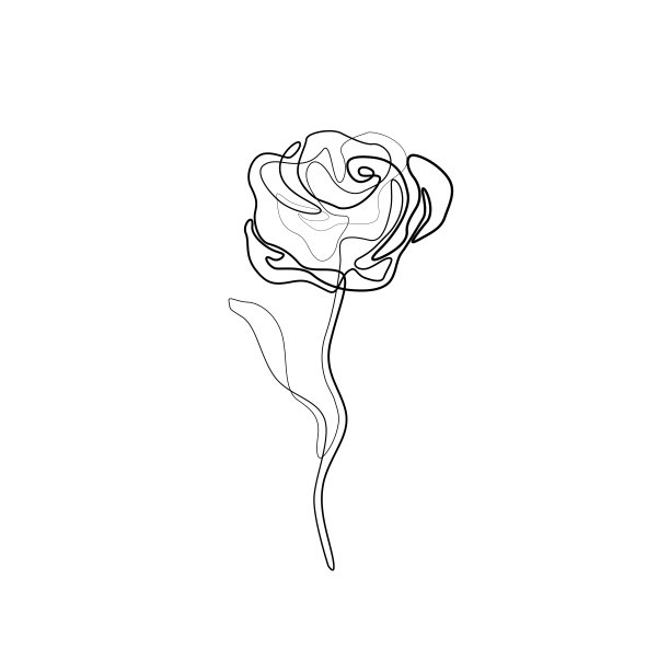 玫瑰连续Dine Drawing图片 玫瑰连续Dine Drawing图片下载