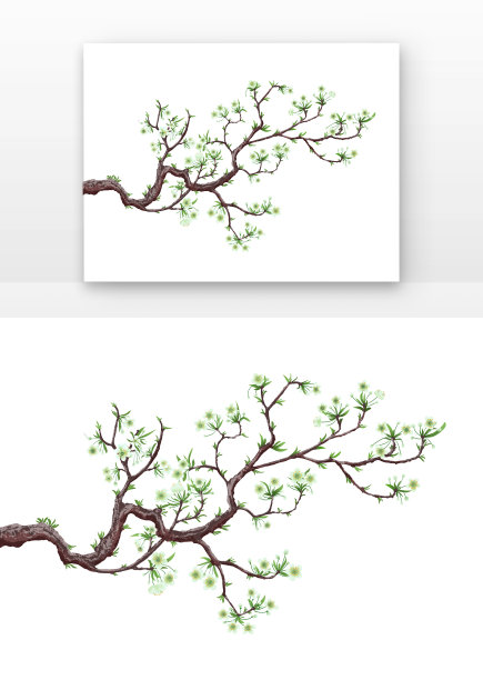 白色梨花手绘插图图片 白色梨花手绘插图图片下载