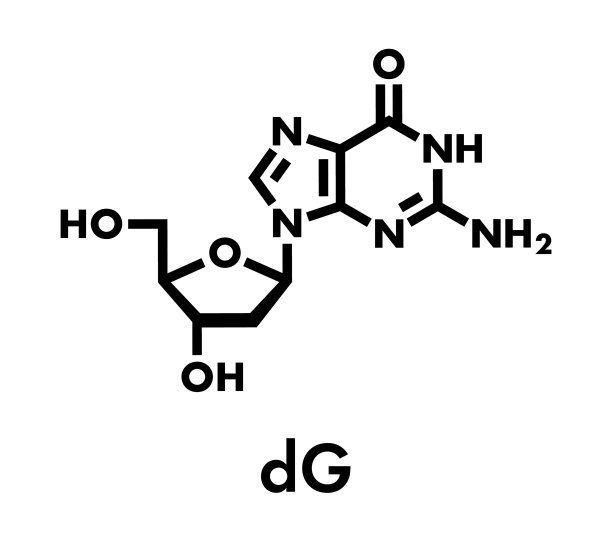 脱氧鸟苷dg核苷分子DNA图片 脱氧鸟苷dg核苷分子DNA图片下载