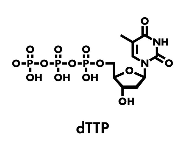 胸苷三磷酸TTP核苷酸分子图片 胸苷三磷酸TTP核苷酸分子图片下载