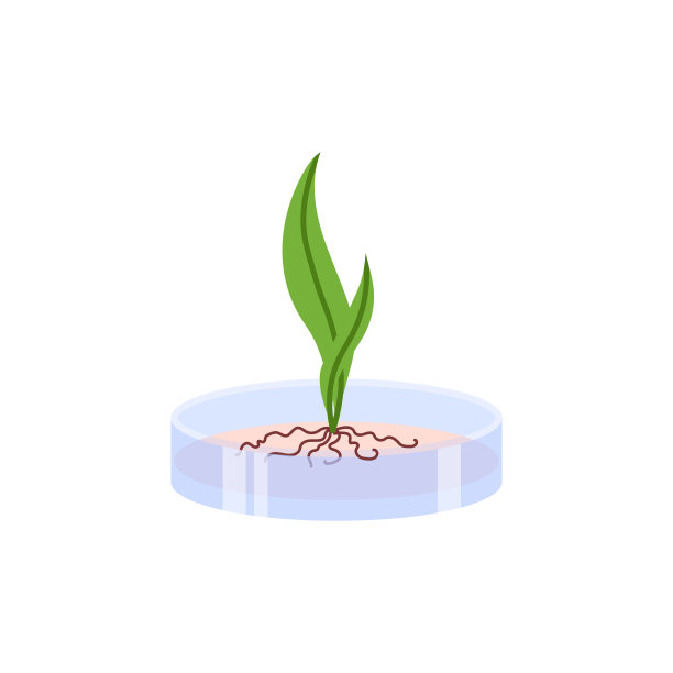 植物绿叶和根生长在玻璃杯扁平的样式图片 植物绿叶和根生长在玻璃杯扁平的样式图片下载