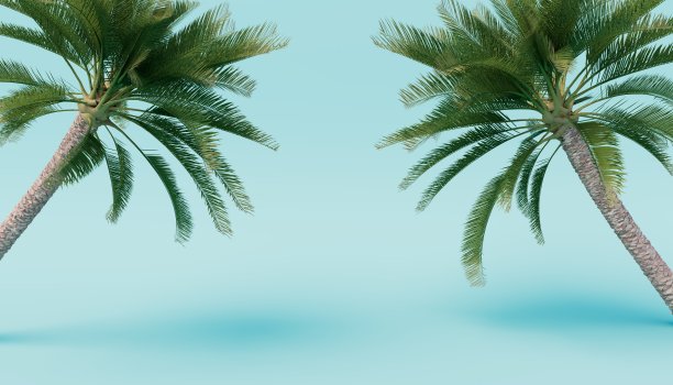 蓝色背景上的棕榈树。三维渲染图片 蓝色背景上的棕榈树。三维渲染图片下载