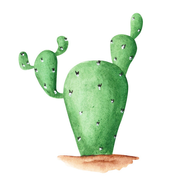 水彩仙人掌孤立在白色背景。手绘多汁的插图。墨西哥绿色植物。可爱的热带对象。嘉年华装饰艺术。图片 水彩仙人掌孤立在白色背景。手绘多汁的插图。墨西哥绿色植物。可爱的热带对象。嘉年华装饰艺术。图片下载