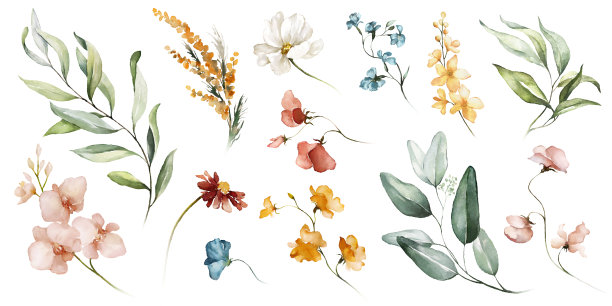 水彩花卉插图集。DIY腮红粉蓝橙红黄橙酒红色花,绿叶独立元素集合。图片 水彩花卉插图集。DIY腮红粉蓝橙红黄橙酒红色花,绿叶独立元素集合。图片下载