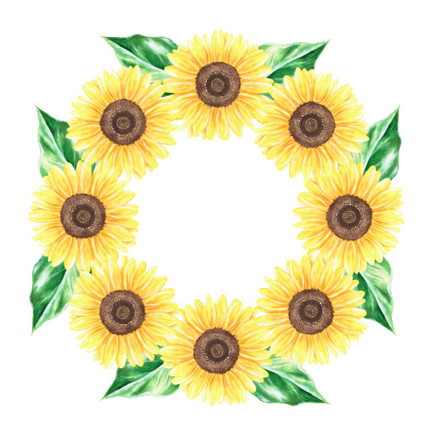 向日葵花环。水彩的插图。孤立在白色背景上。为设计。图片 向日葵花环。水彩的插图。孤立在白色背景上。为设计。图片下载