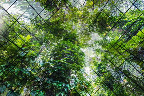 走向绿色-可持续资源-绿色建筑图片 走向绿色-可持续资源-绿色建筑图片下载