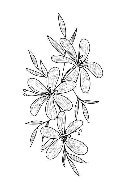 牡丹花束图案线条艺术素描纹身图片 牡丹花束图案线条艺术素描纹身图片下载