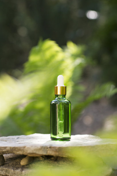 绿色的化妆用品装着油的玻璃瓶,在树的根部以蕨类植物为背景。环保的天然产品图片 绿色的化妆用品装着油的玻璃瓶,在树的根部以蕨类植物为背景。环保的天然产品图片下载