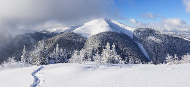 冬日的风景。森林。草坪被雪覆盖。雪堆中的常青树。圣诞节的仙境。白雪皑皑的壁纸背景。自然风景。地理位置,乌克兰,欧洲喀尔巴阡图片 冬日的风景。森林。草坪被雪覆盖。雪堆中的常青树。圣诞节的仙境。白雪皑皑的壁纸背景。自然风景。地理位置,乌克兰,欧洲喀尔巴阡图片下载