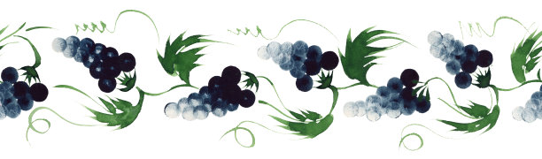 花卉水彩无缝边界图案来自葡萄藤,一串串深蓝色的葡萄和绿色的叶子孤立在白色背景的传统绘画彼得里基夫卡图片 花卉水彩无缝边界图案来自葡萄藤,一串串深蓝色的葡萄和绿色的叶子孤立在白色背景的传统绘画彼得里基夫卡图片下载