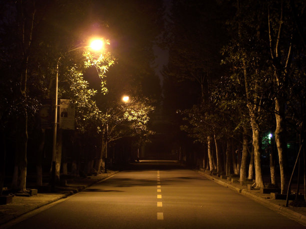 街道夜景,周围有树,灯开着图片 街道夜景,周围有树,灯开着图片下载