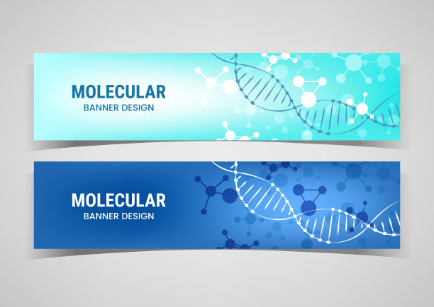 生物科学。DNA链。水平的横幅。分子结构。生物技术实验。实验室研究。医学和药学。传单设计。矢量模式说明图片 生物科学。DNA链。水平的横幅。分子结构。生物技术实验。实验室研究。医学和药学。传单设计。矢量模式说明图片下载