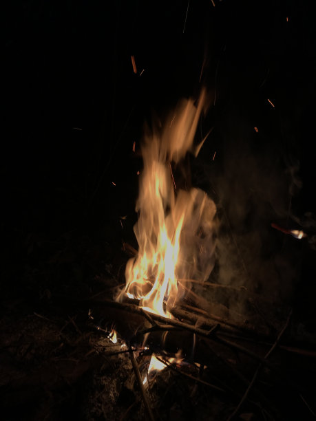 夜晚篝火的火焰图片 夜晚篝火的火焰图片下载