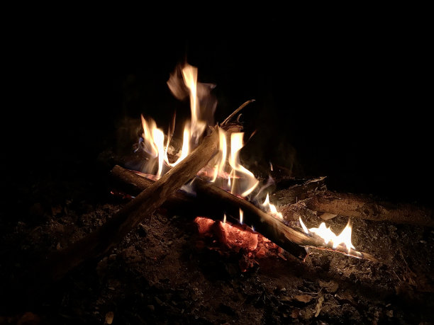 夜晚篝火的火焰图片 夜晚篝火的火焰图片下载