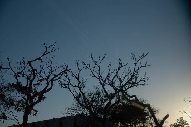 黄昏时的自然景观和树木剪影。图片 黄昏时的自然景观和树木剪影。图片下载