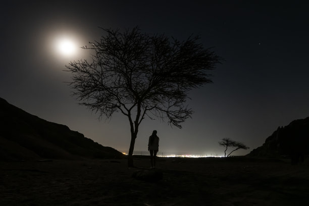 孤独:夜空下的枯树剪影与赏月女子图片 孤独:夜空下的枯树剪影与赏月女子图片下载