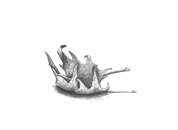 木炭画的干叶子。图片 木炭画的干叶子。图片下载