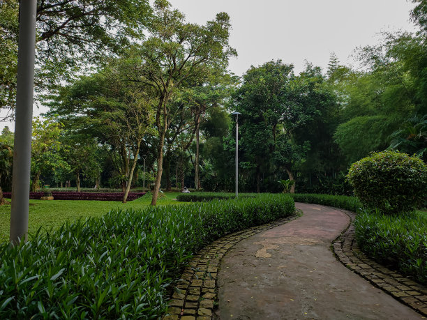在印度尼西亚雅加达的一个城市公园里,为散步铺路图片 在印度尼西亚雅加达的一个城市公园里,为散步铺路图片下载