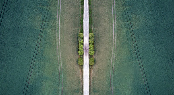 道路与景观田地的插图图片 道路与景观田地的插图图片下载