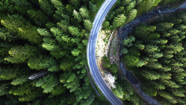 穿过高山和针叶林的道路,照片来自无人机图片 穿过高山和针叶林的道路,照片来自无人机图片下载