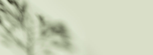 美丽的柔和斑驳光和树叶阴影在空白粉彩绿色墙壁背景图片 美丽的柔和斑驳光和树叶阴影在空白粉彩绿色墙壁背景图片下载