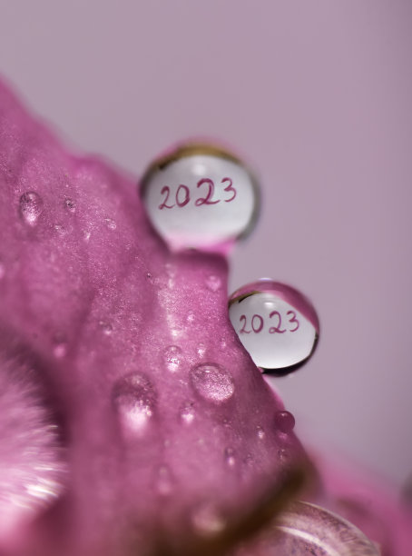 2023年新年快乐图片 2023年新年快乐图片下载