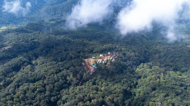 热带森林的鸟瞰图与雾在早晨。在泰国冬季,从无人机俯瞰美丽的热带森林。自然景观背景。图片 热带森林的鸟瞰图与雾在早晨。在泰国冬季,从无人机俯瞰美丽的热带森林。自然景观背景。图片下载