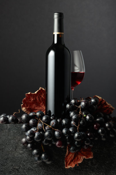 葡萄和红酒。图片 葡萄和红酒。图片下载