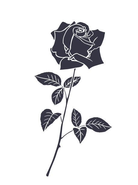 玫瑰花蕾矢量剪影。花卉设计元素。单色玫瑰纹身插图图片 玫瑰花蕾矢量剪影。花卉设计元素。单色玫瑰纹身插图图片下载