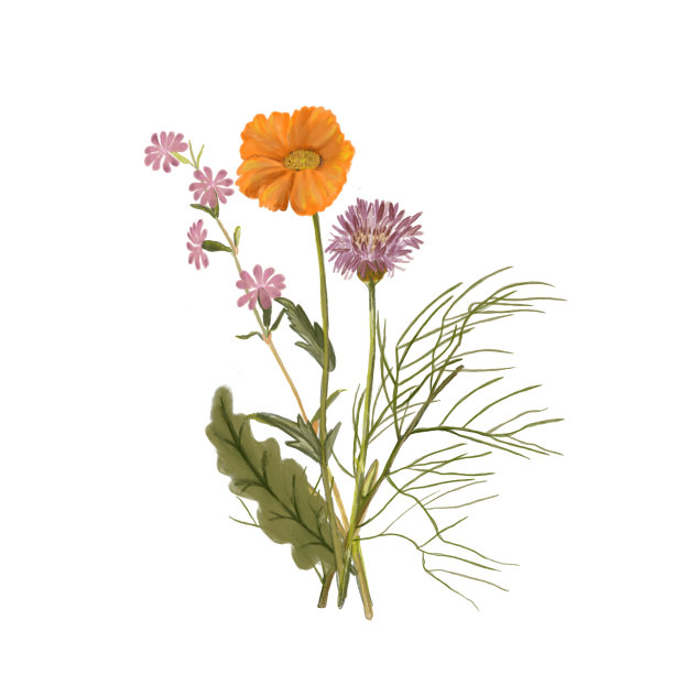 带有野花和叶子的花束。织物设计的复古插图。树叶插图。时尚的花图片 带有野花和叶子的花束。织物设计的复古插图。树叶插图。时尚的花图片下载