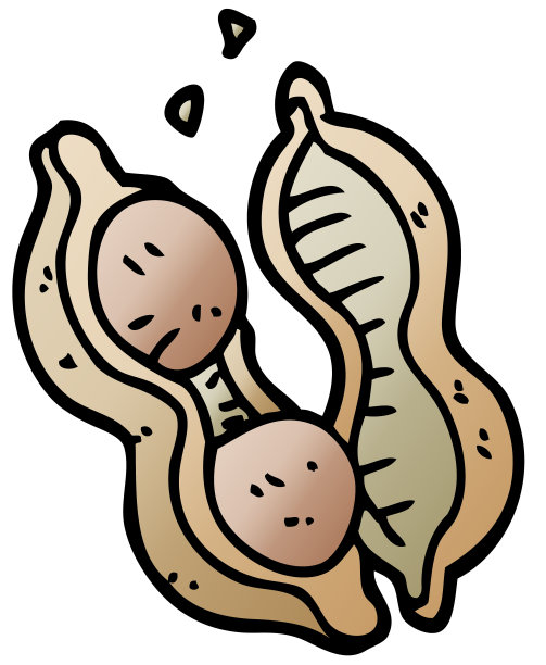 带壳的卡通涂鸦花生图片 带壳的卡通涂鸦花生图片下载