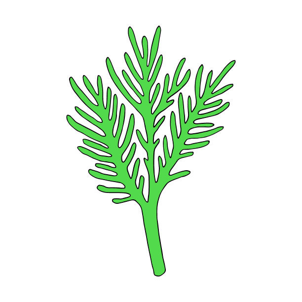 珊瑚。水下手绘海,海洋植物,珊瑚元素,藻类。矢量插图。图片 珊瑚。水下手绘海,海洋植物,珊瑚元素,藻类。矢量插图。图片下载