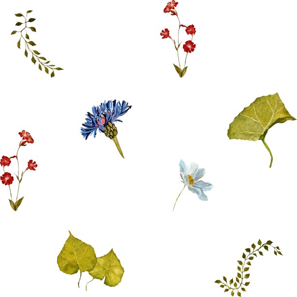 花红蓝藤本植物绿色水彩图案图片 花红蓝藤本植物绿色水彩图案图片下载