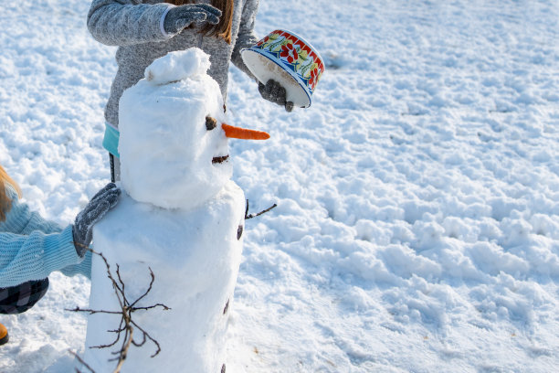 冬天把雪人带到我们的院子里!图片 冬天把雪人带到我们的院子里!图片下载