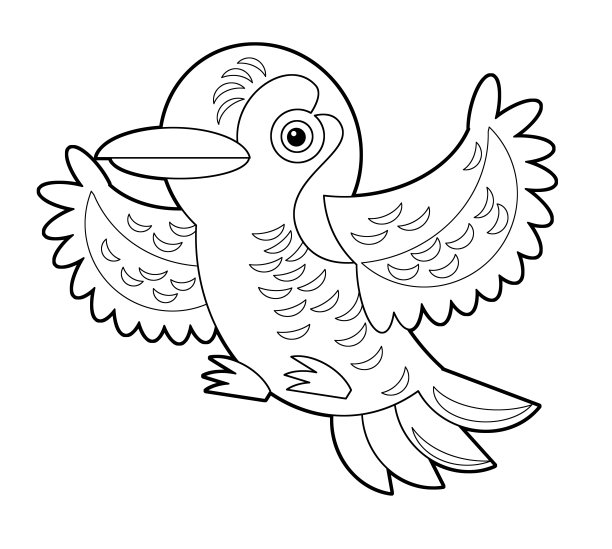 卡通素描澳大利亚动物鸟园丁鸟在白色背景插图图片 卡通素描澳大利亚动物鸟园丁鸟在白色背景插图图片下载