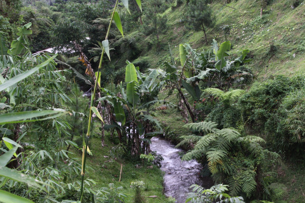 河图片 河图片下载