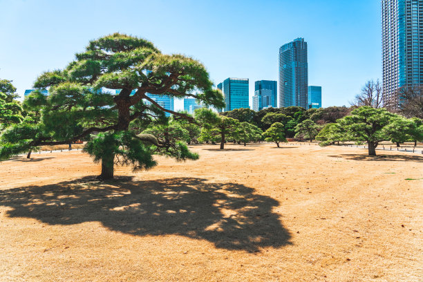 花园图片 花园图片下载