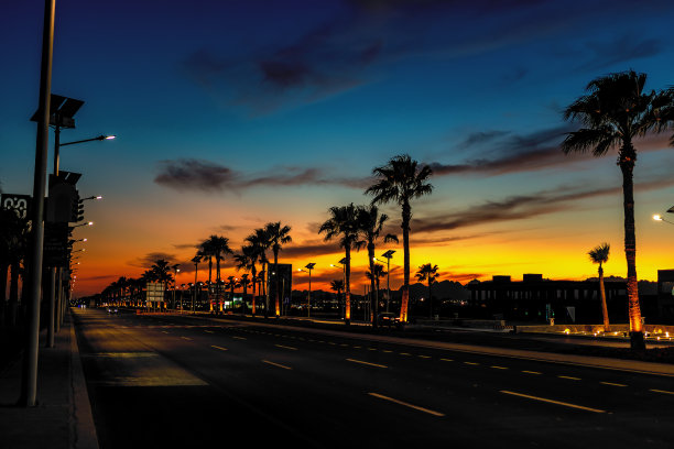 埃及沙姆沙伊赫,棕榈树环绕的道路夜景。图片 埃及沙姆沙伊赫,棕榈树环绕的道路夜景。图片下载